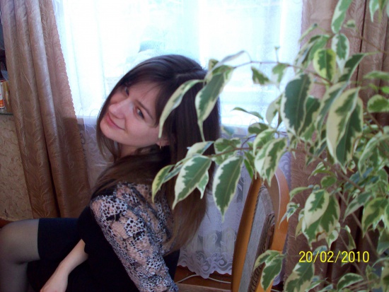 Фикус