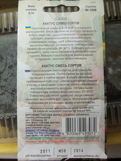 Выращивание кактусов из семян