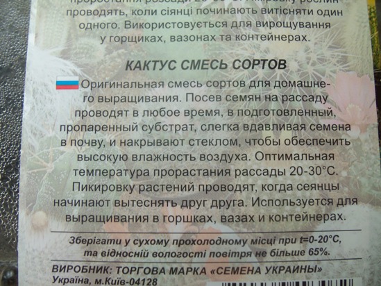 Выращивание кактусов из семян