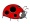 sun_ladybird аватар