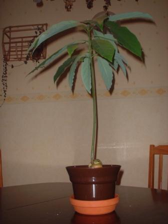 Picture_001.jpg