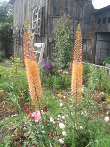 P7010171.JPG