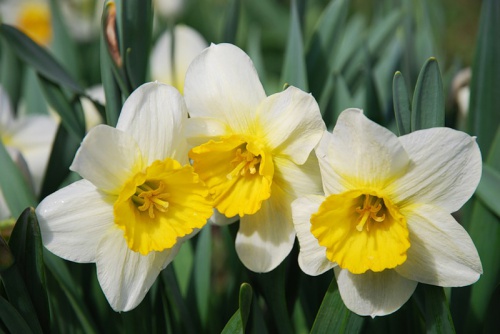 0_c6a3_8b9d6252_XL.jpg
