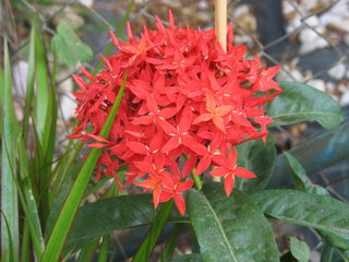 s320x240.jpg