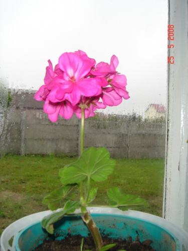 DSC00127.JPG