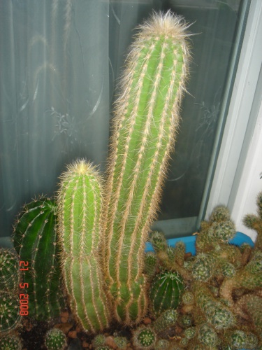 DSC00228.JPG