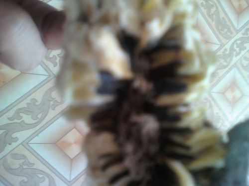 100304_122555.jpg
