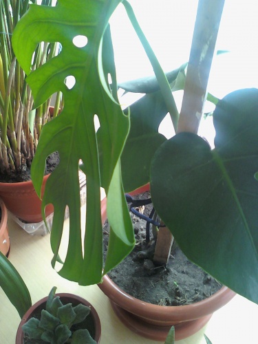 100304_122901.jpg