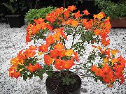 160_621_sm.jpg