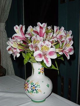 275px-Flower2293.JPG