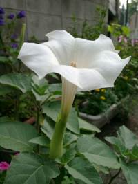 small004.jpg